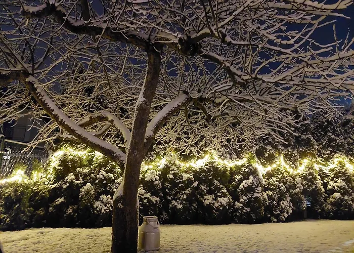 Sielankowo * ויסלאו